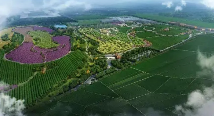 【华纳公司开户第几篇】以“葡萄”为特色的农业生态园，该这样规划设计！(图2)