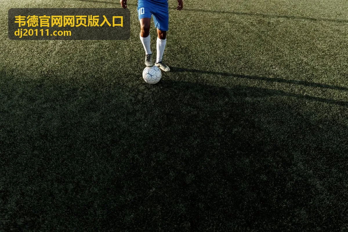 韦德官网网页版入口的操作步骤示意封面